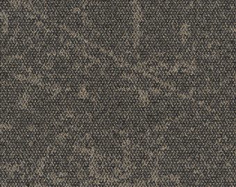 [300111128_12] Ice Breaker - 105779 Grayfox